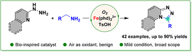 Graphical abstract: Construction of 1,2,4-triazole-fused heterocycles via an amine oxidase-inspired catalyst