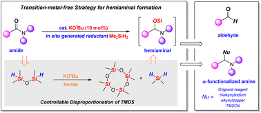 Graphical abstract: Transition-metal-free chemoselective catalytic hydrosilylation of tertiary amides to hemiaminals by Me2SiH2 generated from controllable disproportionation of 1,1,3,3-tetramethyldisiloxane