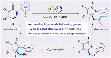 Graphical abstract: Rhodium-catalyzed aminoacylation of alkenes via carbonylative C–H activation toward poly(hetero)cyclic alkylarylketones