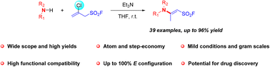 Graphical abstract: A general protocol for stereoselective construction of enaminyl sulfonyl fluorides