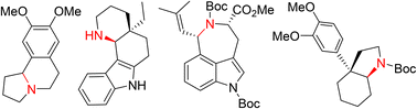 Graphical abstract: Iron porphyrin-catalysed C(sp3)–H amination with alkyl azides for the synthesis of complex nitrogen-containing compounds