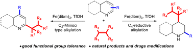 Graphical abstract: Iron-mediated divergent reductive coupling reactions of heteroarenes with alkenes