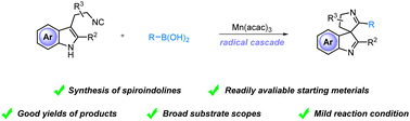 Graphical abstract: Radical addition/spirocyclization cascade of tryptamine-derived isocyanides with aryl boronic acids: efficient access to spiroindoline derivatives
