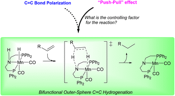 Graphical abstract: Is the polarization of the C [[double bond, length as m-dash]] C bond imperative for bifunctional outer-sphere C [[double bond, length as m-dash]] C hydrogenation?