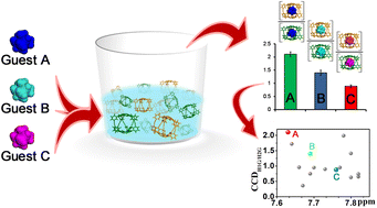 Graphical abstract: Guest differentiation and fingerprinting based on the conformational diversity of a dynamic corannulene-based cage