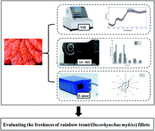 Graphical abstract: Evaluation of the freshness of rainbow trout (Oncorhynchus mykiss) fillets by the NIR, E-nose and SPME-GC-MS