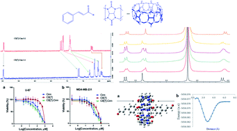Graphical abstract: Cinnamaldehyde–cucurbituril complex: investigation of loading efficiency and its role in enhancing cinnamaldehyde in vitro anti-tumor activity