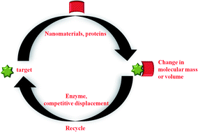 Graphical abstract: Recent advances in fluorescence anisotropy/polarization signal amplification