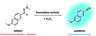 Graphical abstract: Aldehyde N,N-dimethylhydrazone-based fluorescent substrate for peroxidase-mediated assays