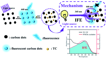 Graphical abstract: Transforming waste into value: pomelo-peel-based nitrogen-doped carbon dots for the highly selective detection of tetracycline