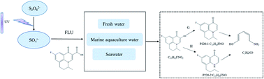 Graphical abstract: Kinetics and mechanisms of flumequine degradation by sulfate radical based AOP in different water samples containing inorganic anions