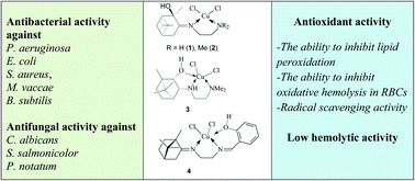 Graphical abstract: Copper(ii) complexes with terpene derivatives of ethylenediamine: synthesis, and antibacterial, antifungal and antioxidant activity