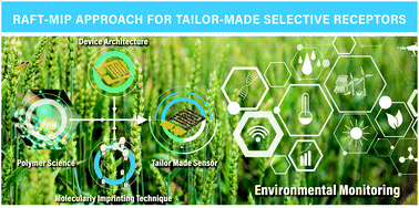 Graphical abstract: Molecularly imprinted polymers via reversible addition–fragmentation chain-transfer synthesis in sensing and environmental applications