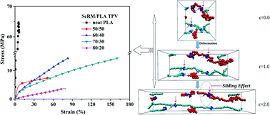 Graphical abstract: Preparation and properties of a novel poly(lactic-acid)-based thermoplastic vulcanizate from both experiments and simulations