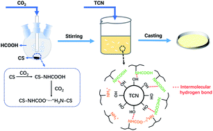 Graphical abstract: Synthesis of chitosan/TCN nanocomposites with the carbon dioxide assisted phase inversion