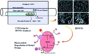 Graphical abstract: Cytotoxic and photocatalytic studies of hexagonal boron nitride nanotubes: a potential candidate for wastewater and air treatment