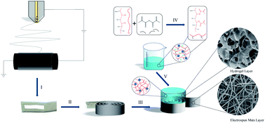 Graphical abstract: Preparation and characterization of a novel drug-loaded Bi-layer scaffold for cartilage regeneration