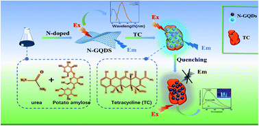 Graphical abstract: Green synthetic nitrogen-doped graphene quantum dot fluorescent probe for the highly sensitive and selective detection of tetracycline in food samples