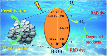 Graphical abstract: Structural engineering of BiOBr nanosheets for boosted photodegradation performance toward rhodamine B