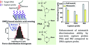 Graphical abstract: Molecularly resolved, label-free nucleic acid sensing at solid–liquid interface using non-ionic DNA analogues