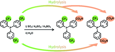 Graphical abstract: Preparation of carboxylic arylphosphines by hydrolysis of the trifluoromethyl group