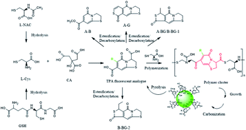 Graphical abstract: The fluorescence mechanism of carbon dots based on the separation and identification of small molecular fluorophores