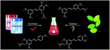 Graphical abstract: Synthesis of C-prenylated analogues of stilbenoid methyl ethers and their cyclic dihydrobenzopyranyl derivatives as potential anti-inflammatory agents