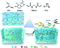 Graphical abstract: One-pot method for preparation of capsaicin-containing double-network hydrogels for marine antifouling