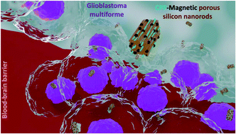 Graphical abstract: Cell penetrating peptide decorated magnetic porous silicon nanorods for glioblastoma therapy and imaging