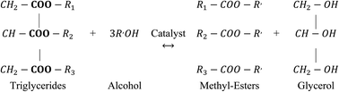 Graphical abstract: Biodiesel production from candlenut oil using a non-catalytic supercritical methanol transesterification process: optimization, kinetics, and thermodynamic studies