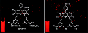 Graphical abstract: Investigation on fluorescein derivatives with thermally activated delayed fluorescence and their applications in imaging