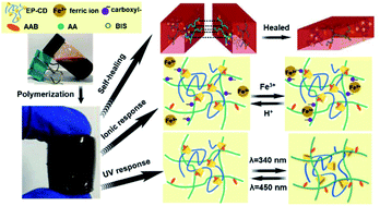 Graphical abstract: An UV-photo and ionic dual responsive interpenetrating network hydrogel with shape memory and self-healing properties