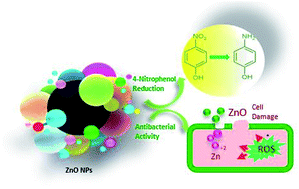 Graphical abstract: Synthesis of Ni–Ag–ZnO solid solution nanoparticles for photoreduction and antimicrobial applications