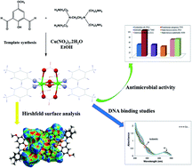 Graphical abstract: Template synthesis, DNA binding, antimicrobial activity, Hirshfeld surface analysis, and 1D helical supramolecular structure of a novel binuclear copper(ii) Schiff base complex