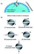 Graphical abstract: Temporal evolution of viscoelasticity of soft colloid laden air–water interface: a multiple mode microrheology study