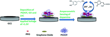 Graphical abstract: Investigation of the one-step electrochemical deposition of graphene oxide-doped poly(3,4-ethylenedioxythiophene)–polyphenol oxidase as a dopamine sensor