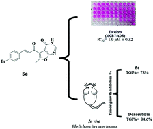 Graphical abstract: Identification of novel furo[2,3-d]pyrimidine based chalcones as potent anti-breast cancer agents: synthesis, in vitro and in vivo biological evaluation