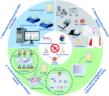 Graphical abstract: Antiviral activity of chitosan nanoparticles encapsulating silymarin (Sil–CNPs) against SARS-CoV-2 (in silico and in vitro study)