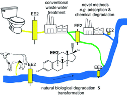 Graphical abstract: 17α-Ethinylestradiol (EE2): concentrations in the environment and methods for wastewater treatment – an update