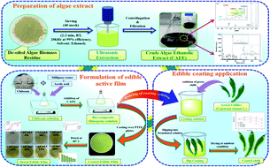 Graphical abstract: Development of antioxidant-rich edible active films and coatings incorporated with de-oiled ethanolic green algae extract: a candidate for prolonging the shelf life of fresh produce