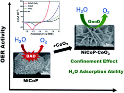 Graphical abstract: NiCoP–CeO2 composites for efficient electrochemical oxygen evolution