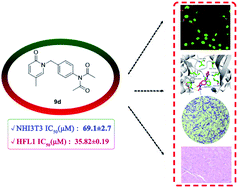 Graphical abstract: Synthesis and evaluation of new pirfenidone derivatives as anti-fibrosis agents