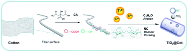 Graphical abstract: In situ synthesis of TiO2/NC on cotton fibers with antibacterial properties and recyclable photocatalytic degradation of dyes