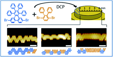 Graphical abstract: Diffusion-controlled on-surface synthesis of graphene nanoribbon heterojunctions