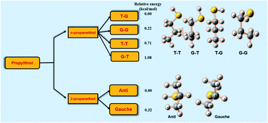 Graphical abstract: Conformational and structural stability of n and 2-propylthiols: a revisit