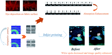 Graphical abstract: Insights into coloration enhancement of mercerized cotton fabric on reactive dye digital inkjet printing