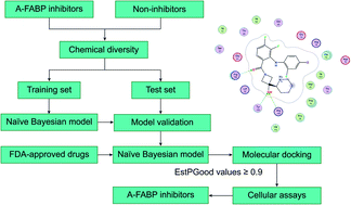 Graphical abstract: Discovery of Cobimetinib as a novel A-FABP inhibitor using machine learning and molecular docking-based virtual screening