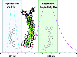 Graphical abstract: UV-selective organic absorbers for the cosensitization of greenhouse-integrated dye-sensitized solar cells: synthesis and computational study