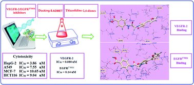 Graphical abstract: Design, synthesis, in silico docking, ADMET and anticancer evaluations of thiazolidine-2,4-diones bearing heterocyclic rings as dual VEGFR-2/EGFRT790M tyrosine kinase inhibitors