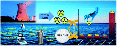 Graphical abstract: A novel strontium-based MOF: synthesis, characterization, and promising application in removal of 152+154Eu from active waste
